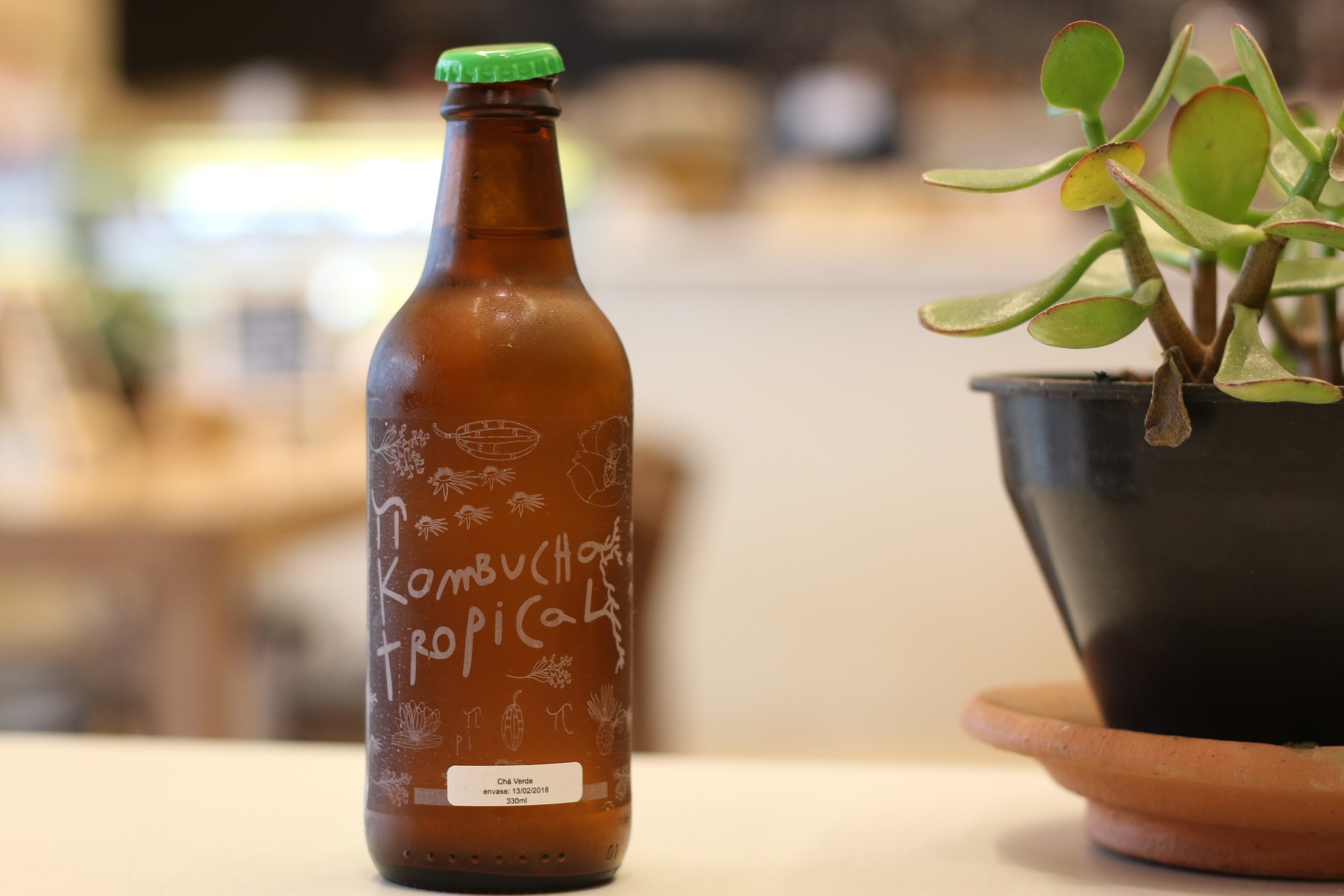 Unveiling the Magic of Fermentation: The Rise of Kombucha and Kimchi